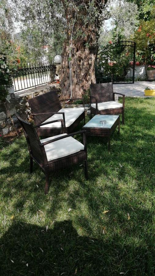 Tsafas Αpartments Apartment Limenas  Ngoại thất bức ảnh